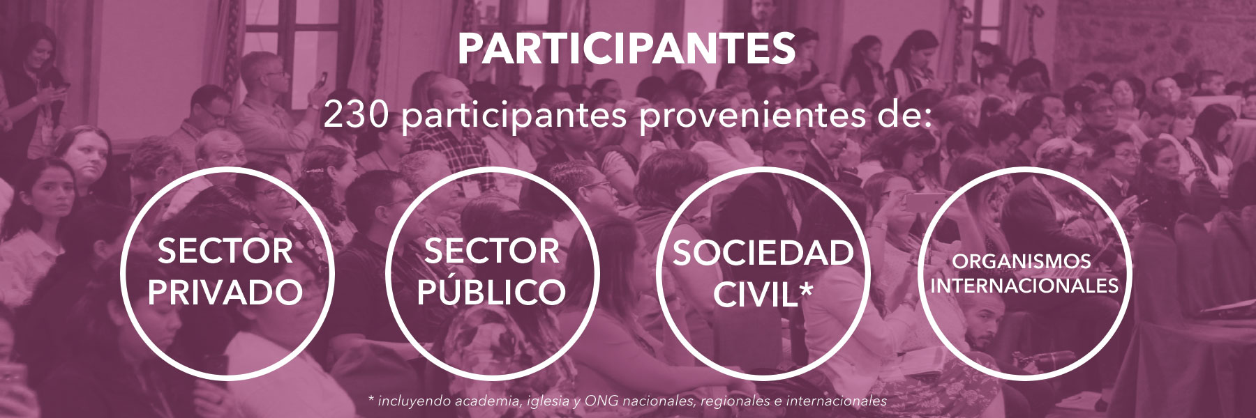Participantes